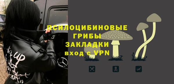дживик Алзамай