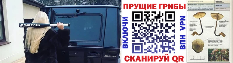 Галлюциногенные грибы прущие грибы  hydra   Мышкин 